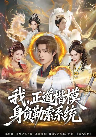 我正道楷模身负勒索系统